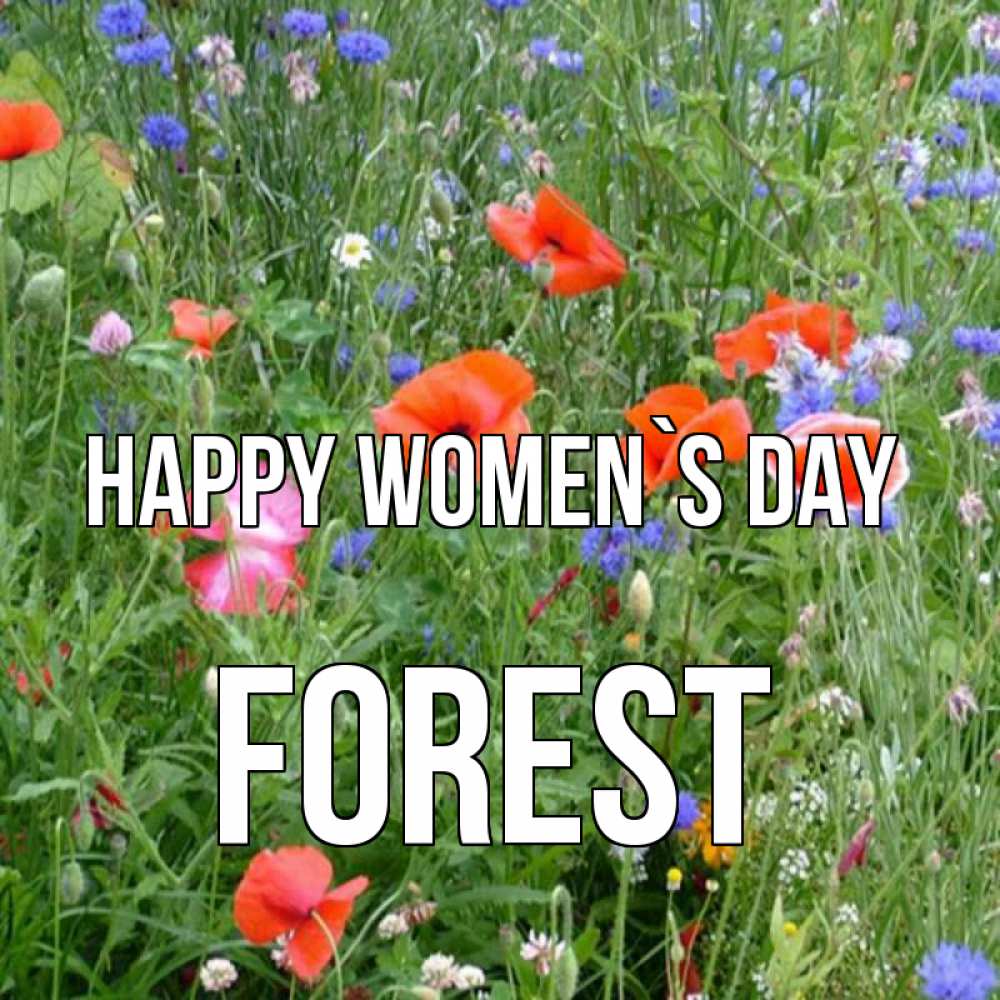 Greetings card с именем, Forest happy women`s day международный женский день 4 Greetings with text for free download 